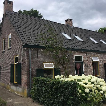 Vakantiehuis In Het Voorhuis Dommelen ภายนอก รูปภาพ