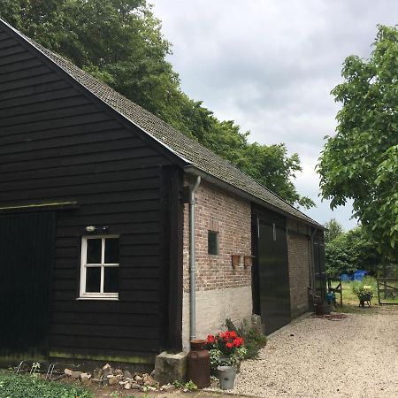 Vakantiehuis In Het Voorhuis Dommelen ภายนอก รูปภาพ