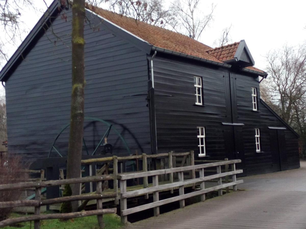 Vakantiehuis In Het Voorhuis Dommelen ภายนอก รูปภาพ