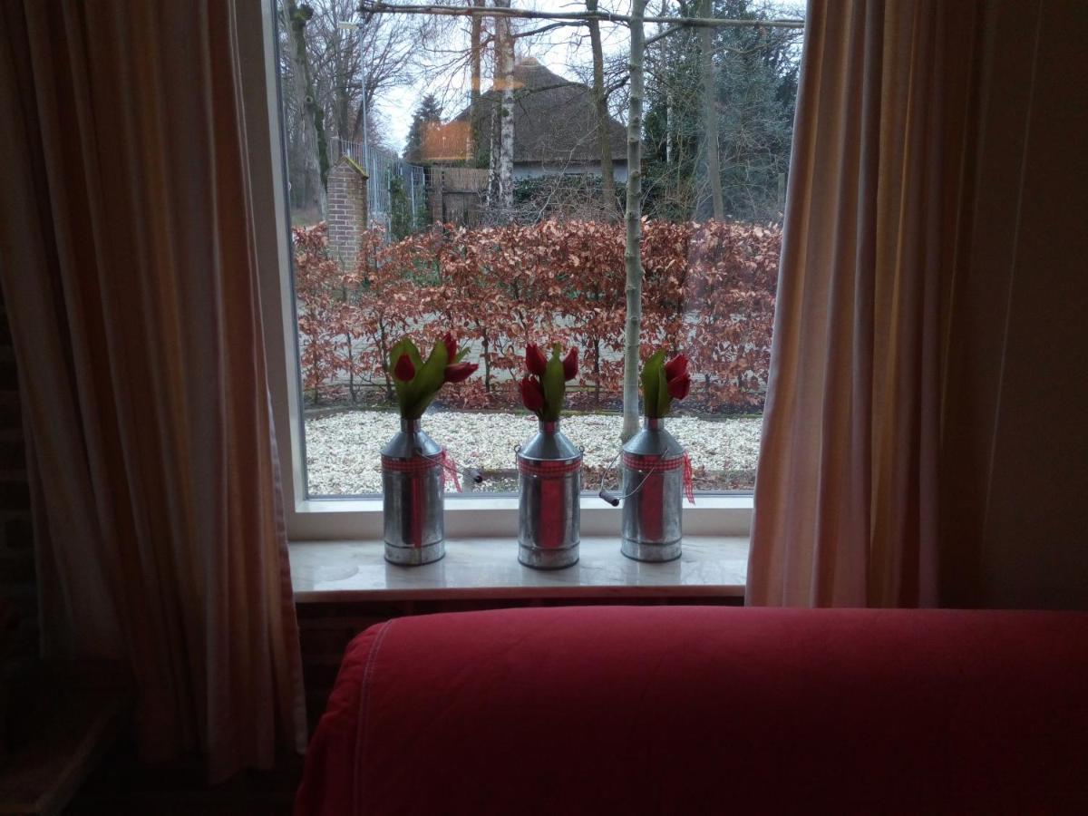 Vakantiehuis In Het Voorhuis Dommelen ภายนอก รูปภาพ